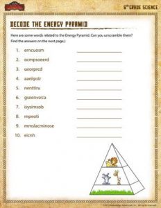 6th Grade Science Worksheets | amulette