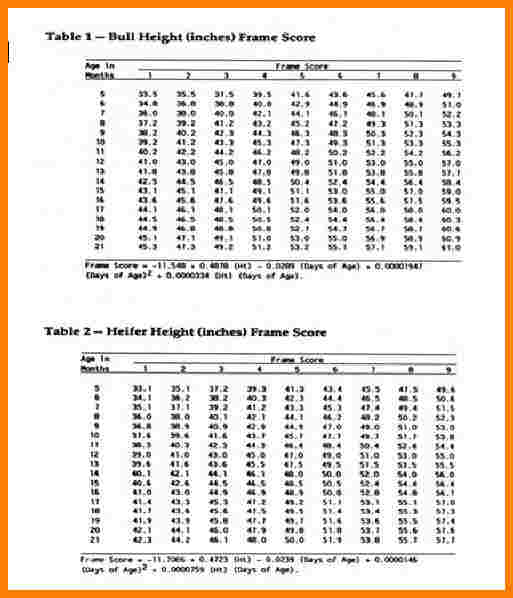 apft-score-chart-amulette