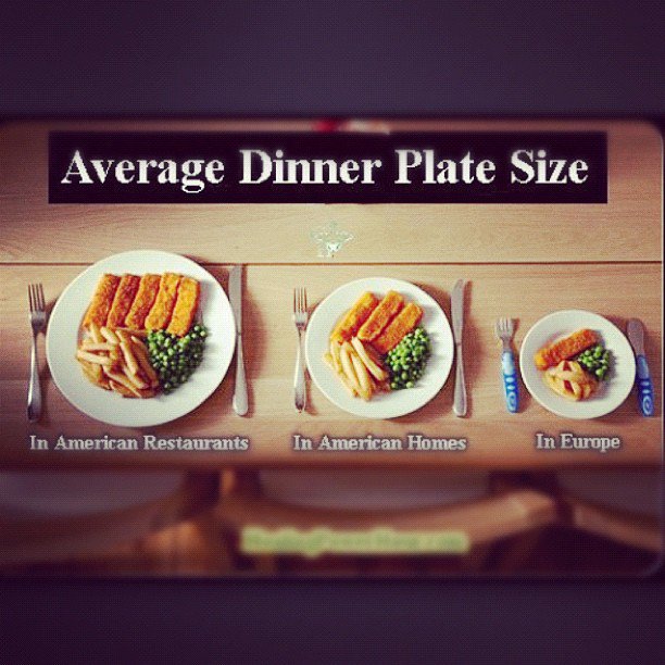 Average Paper Plate Size