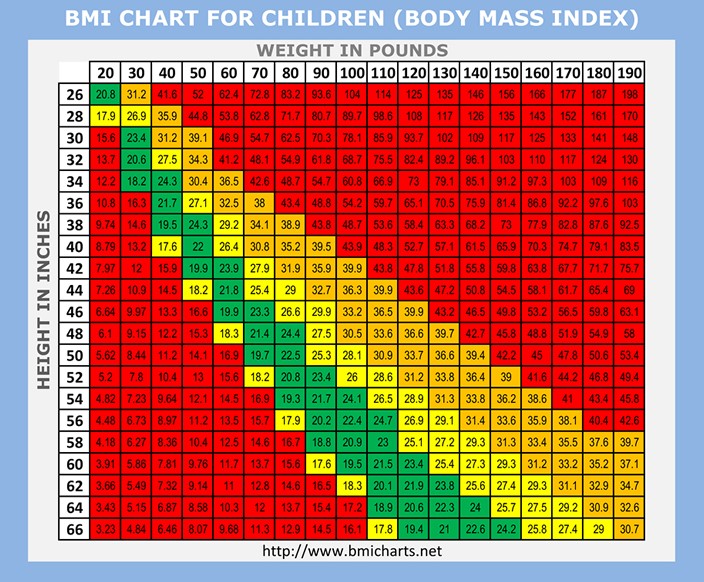 child bmi chart