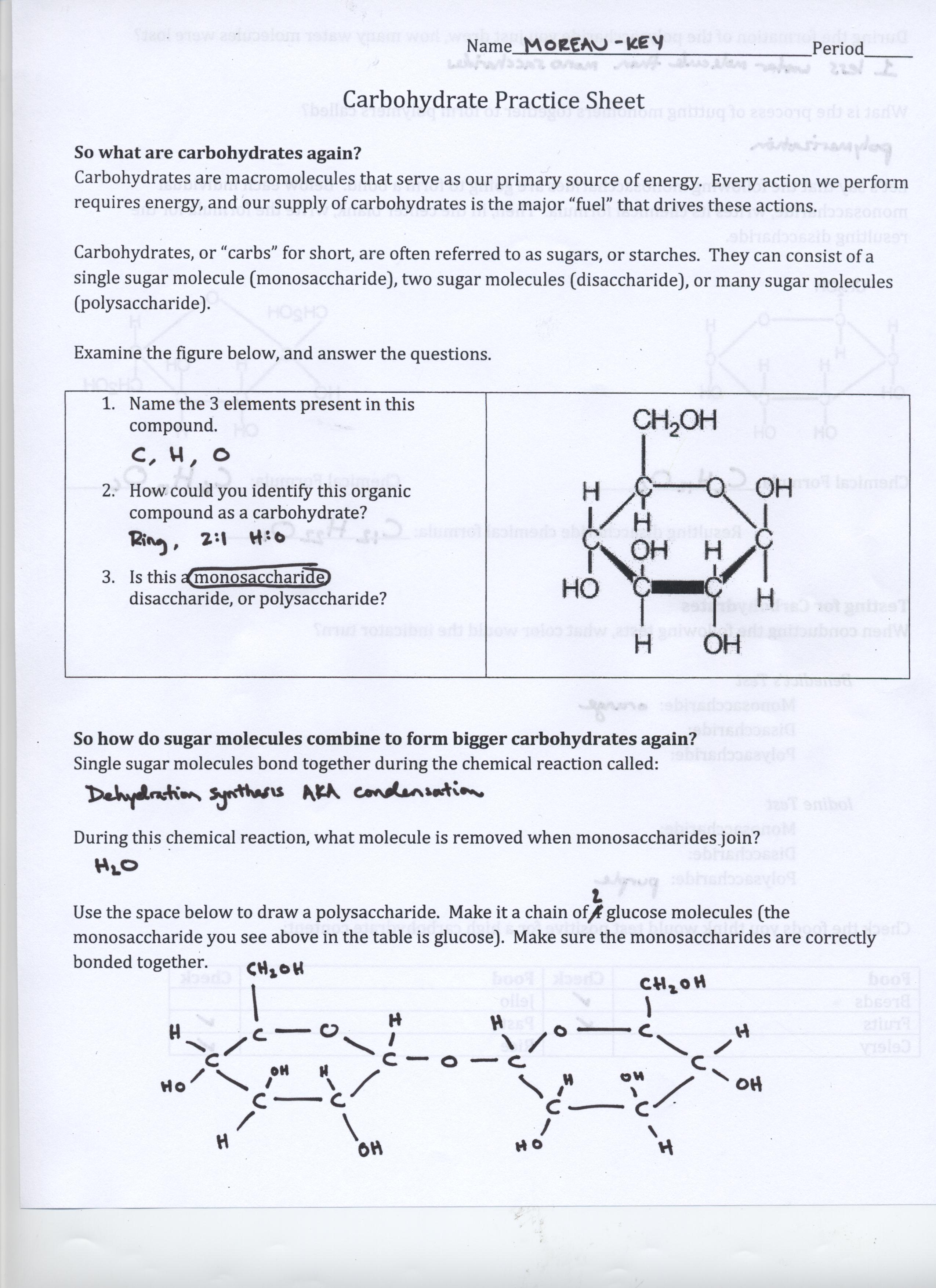 Cell Size Pogil Answers | amulette