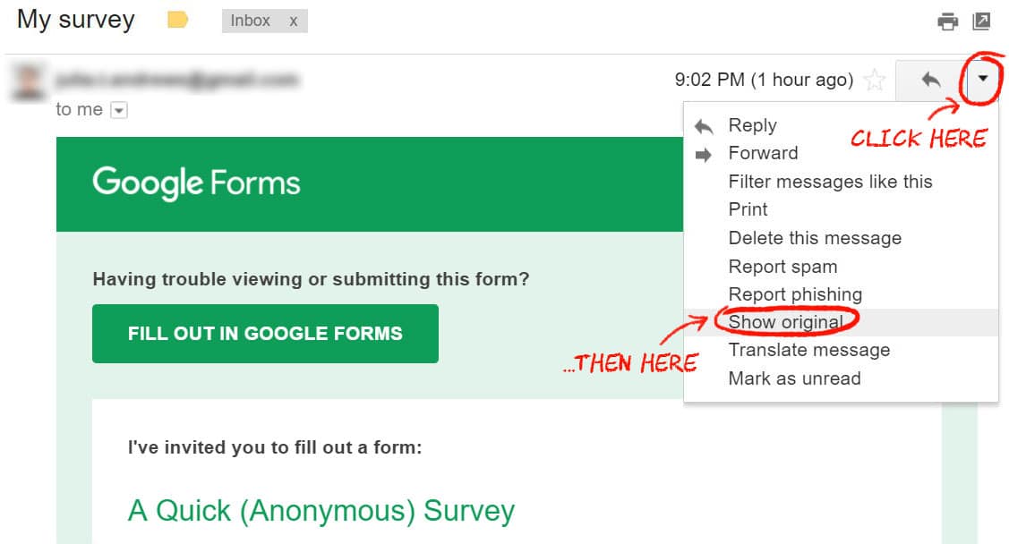 Google Forms Anonymous Survey | amulette