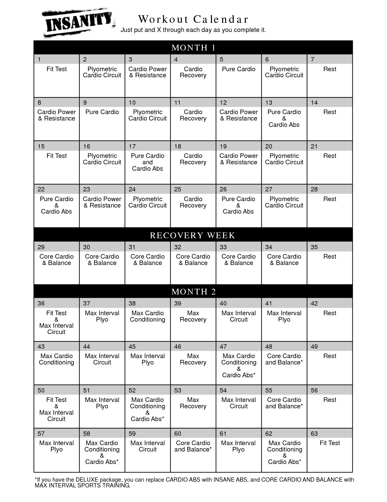 Workout Schedule | Insanity Workout Log