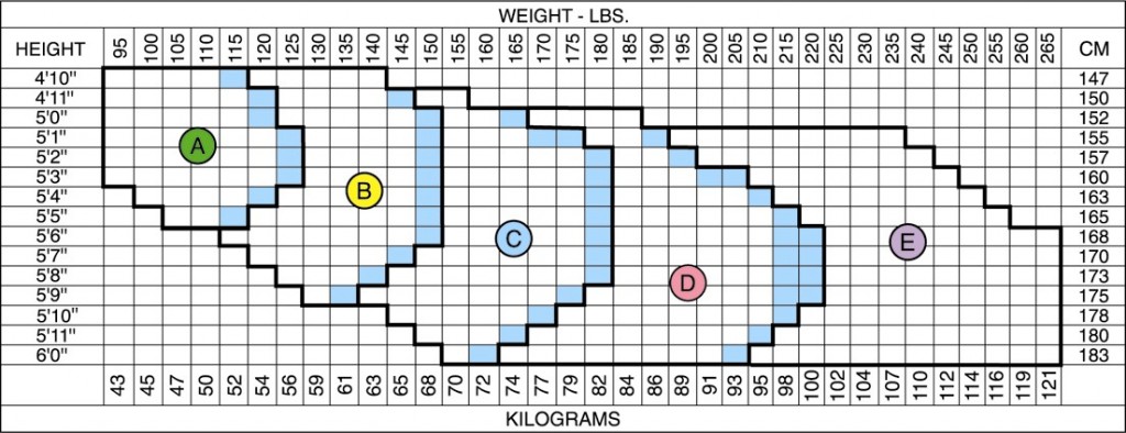 Spanx Leather Size Chart