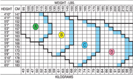 Spanx Faux Leather Size Chart