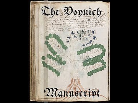 A Flip through the Voynich Manuscript PDF (Free Stock Footage 