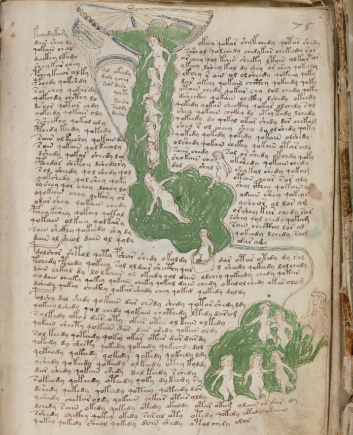 Voynich Manuscript – Complete PDF Book – Sanjin Đumišić
