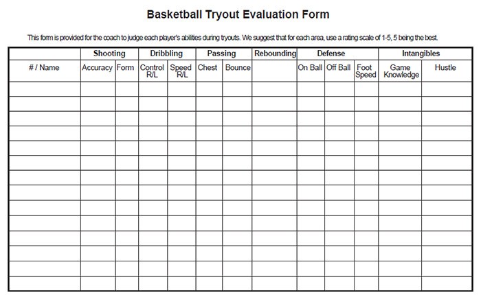 baseball-tryout-evaluation-sheet-amulette