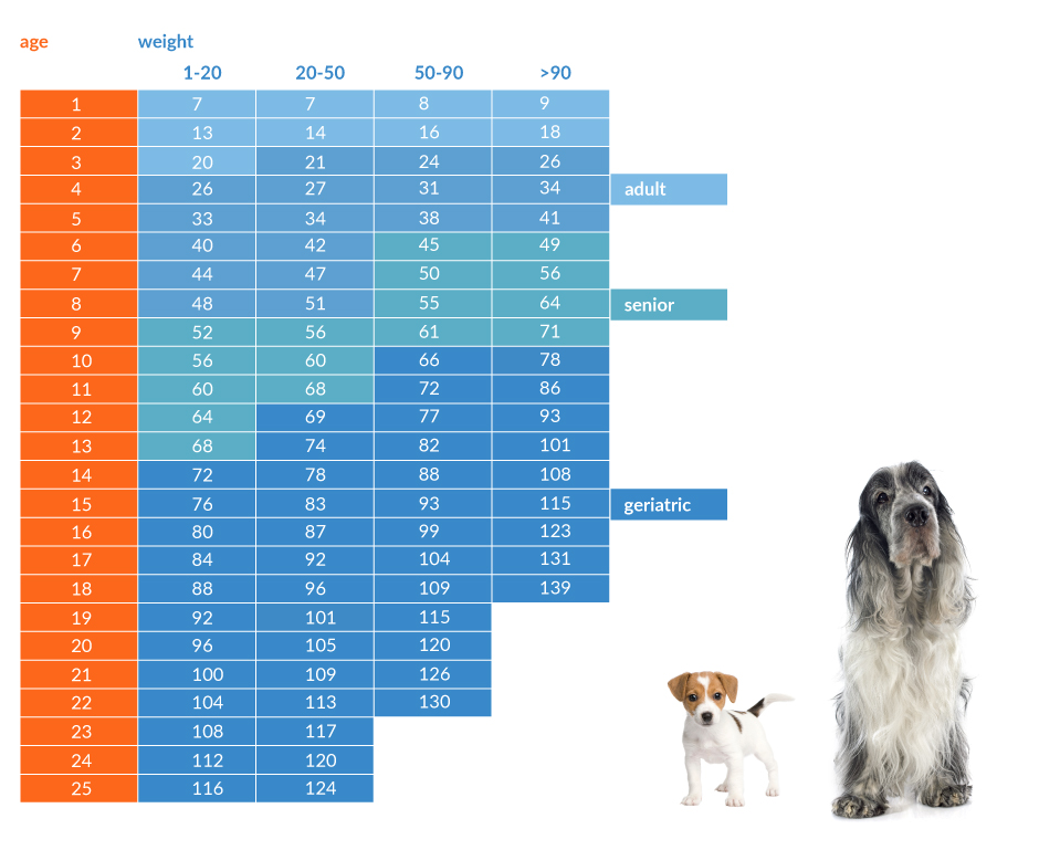 Dog Age Chart By Weight