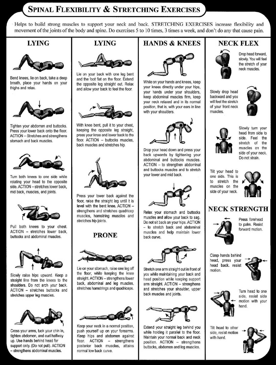 Neck Stretching Exercises Pdf amulette
