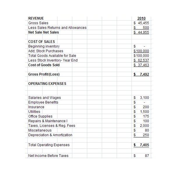 Free Downloadable Excel Pro Forma Income Statement for Small and 