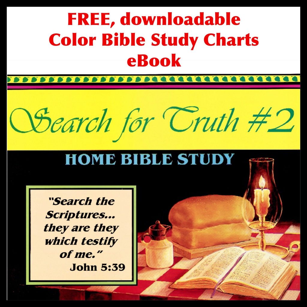 Search For Truth Bible Study Chart Amulette search-for-truth-bible-study-chart-amulette
