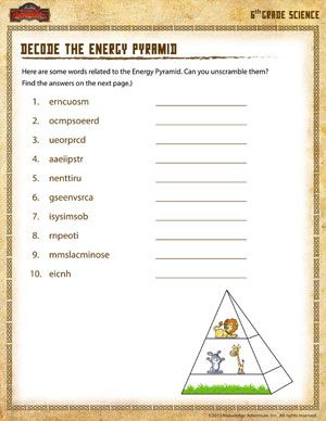 Decode the Energy Pyramid Printable Sixth Grade Science 