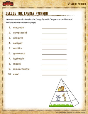 Decode the Energy Pyramid – Free 6th Grade Science Worksheets 