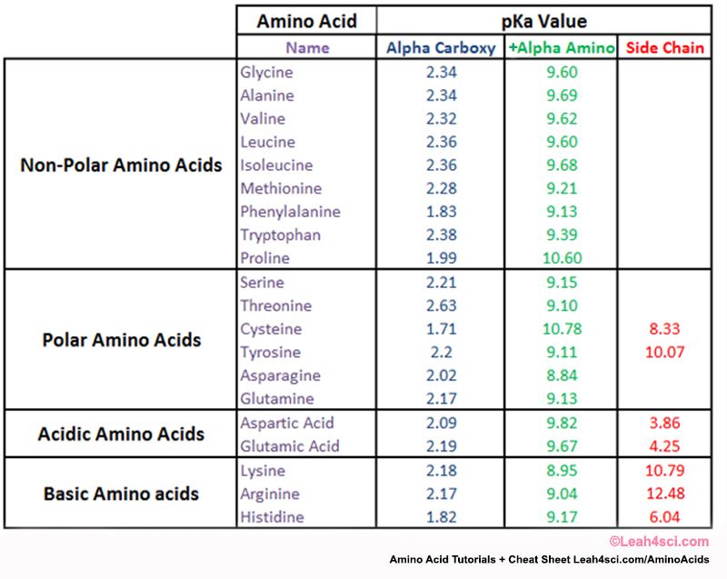 pka amino acids table | PRE MED | Pinterest
