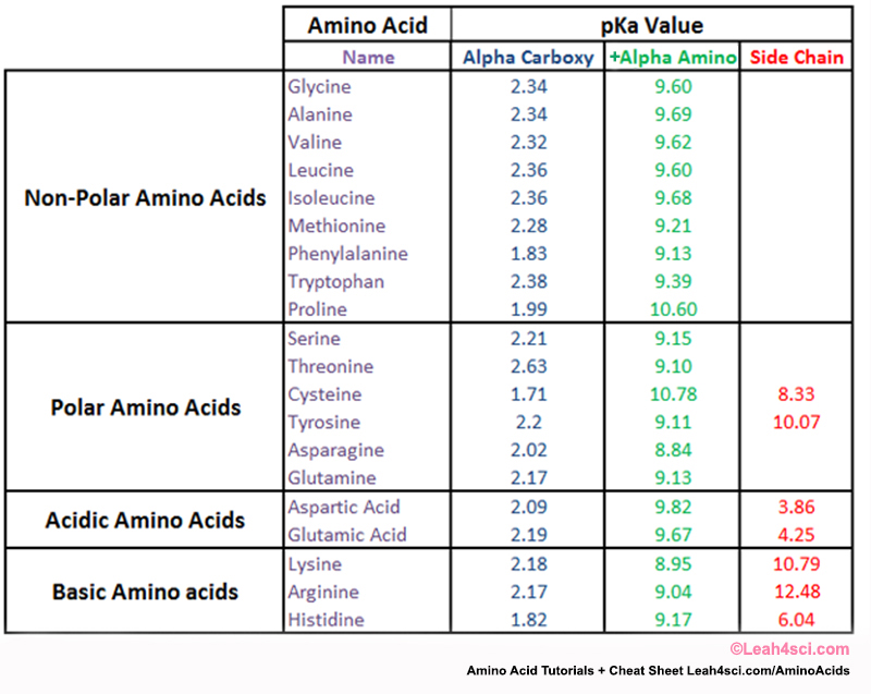 Amino Acid Pka Chart amulette