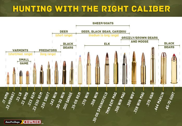 Use This Rifle Caliber Chart to Pick the Right Ammo for Hunting 