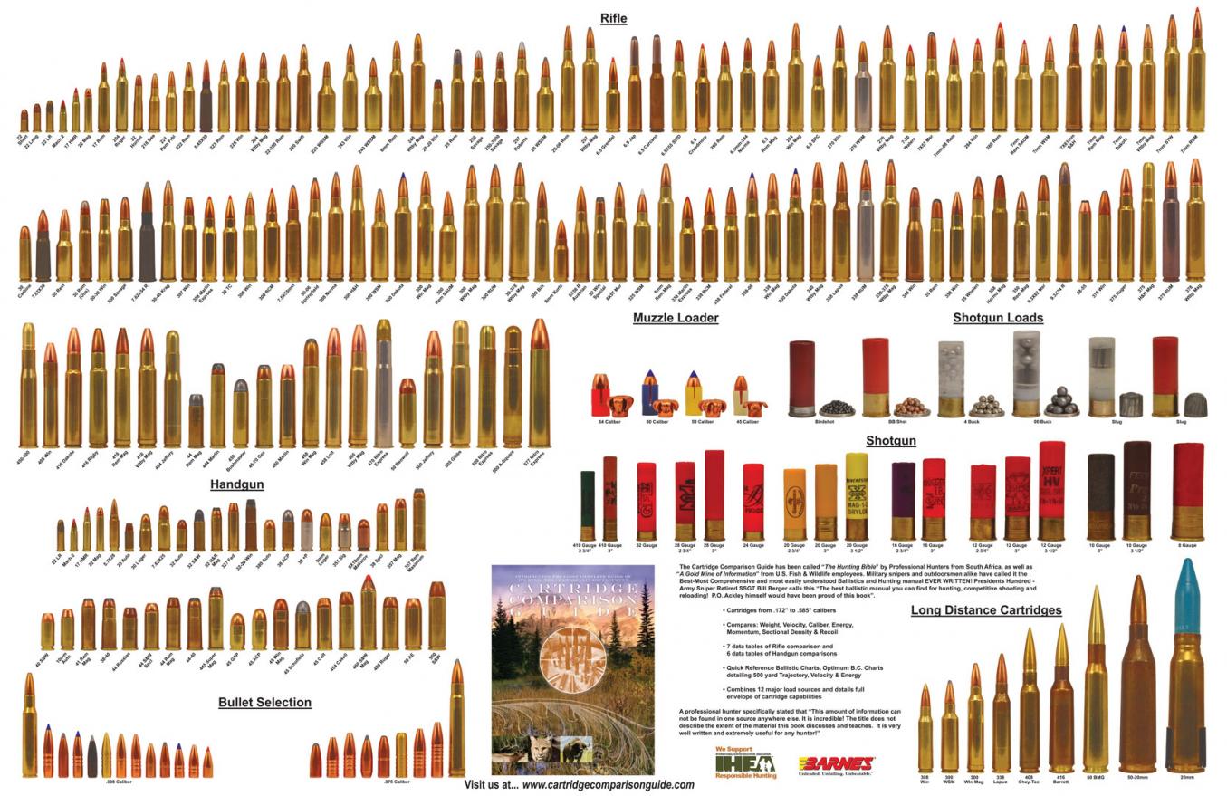 Ammo Size Chart Comparison