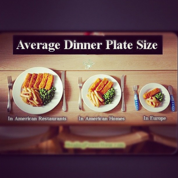 Average Dinner Plate size