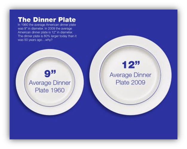 Portion Control – Dinner Plate Sizes | A Lean Life