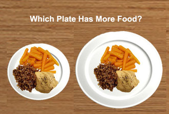 Focus On Healthy Eating Lovely Average Dinner Plate Size 
