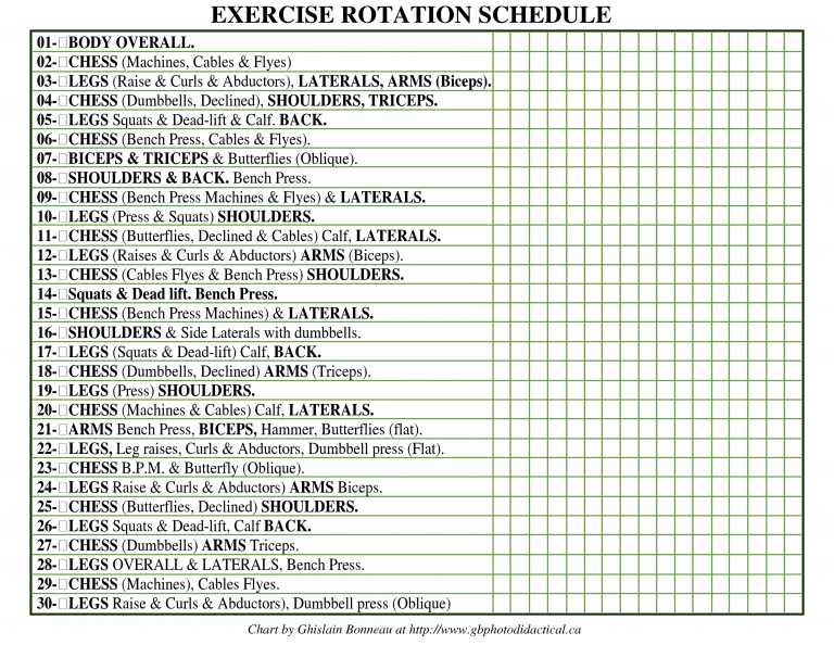 Bodybuilding Program Pdf | amulette