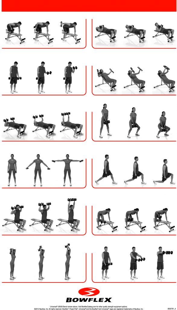 Bowflex Exercise Chart | amulette