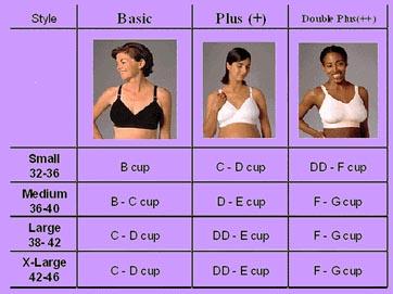 Bra Sizes Chart. Bra Sizes: Small, Medium, Large, X large bra 