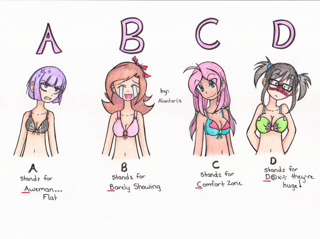 Meaning to Bra Size by Alantaris on DeviantArt