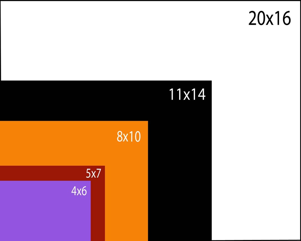 Common Photo Sizes | amulette