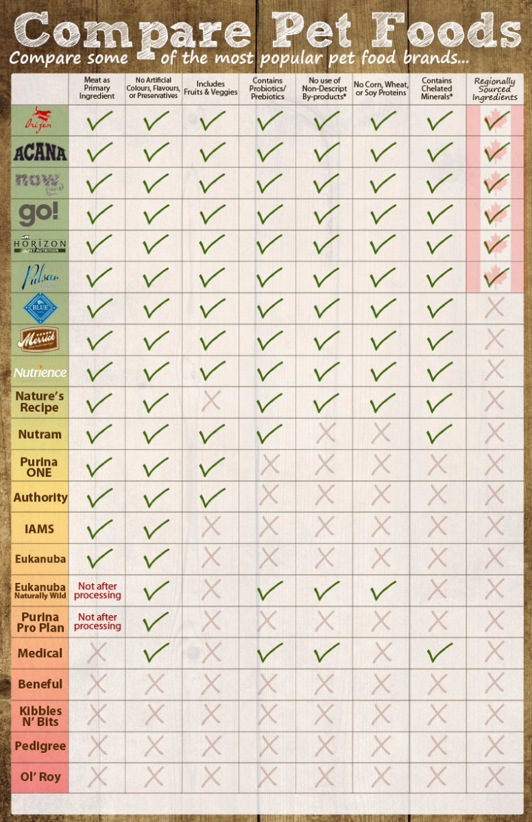 Dog Food Comparison Chart [Infographic]