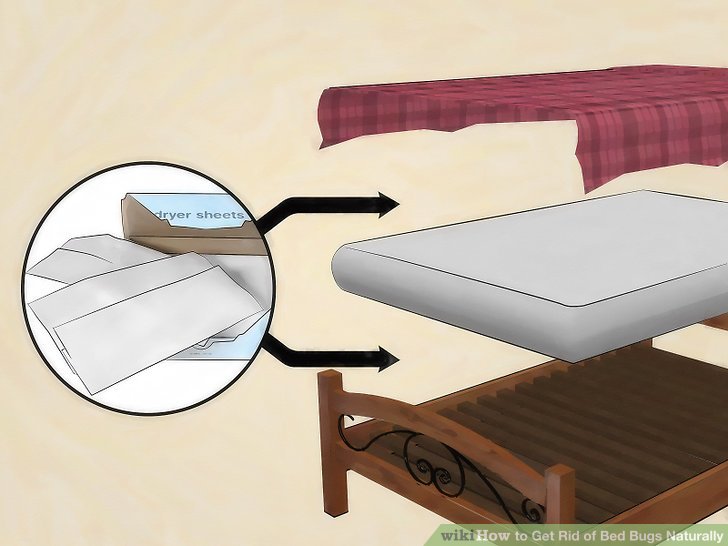How to Get Rid of Bed Bugs Naturally: 13 Steps (with Pictures)
