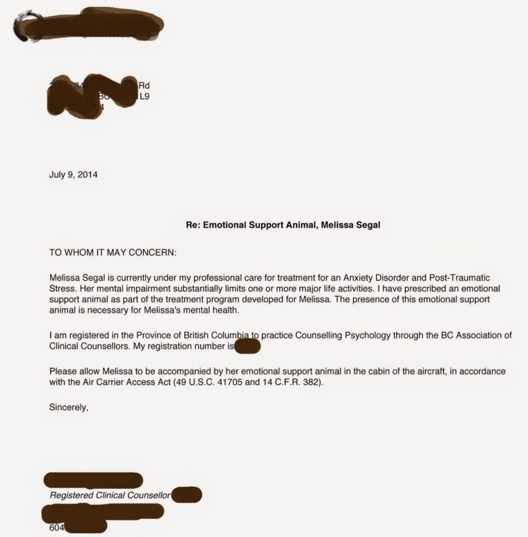 Esa Letter Template Amulette