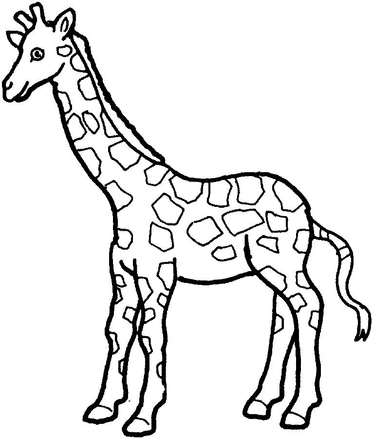 SIMPLE GIRAFFE OUTLINE | Print out and color pictures of a variety 
