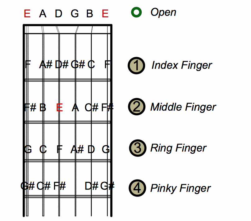 guitar strings notes for beginners Google Search | guitar king 