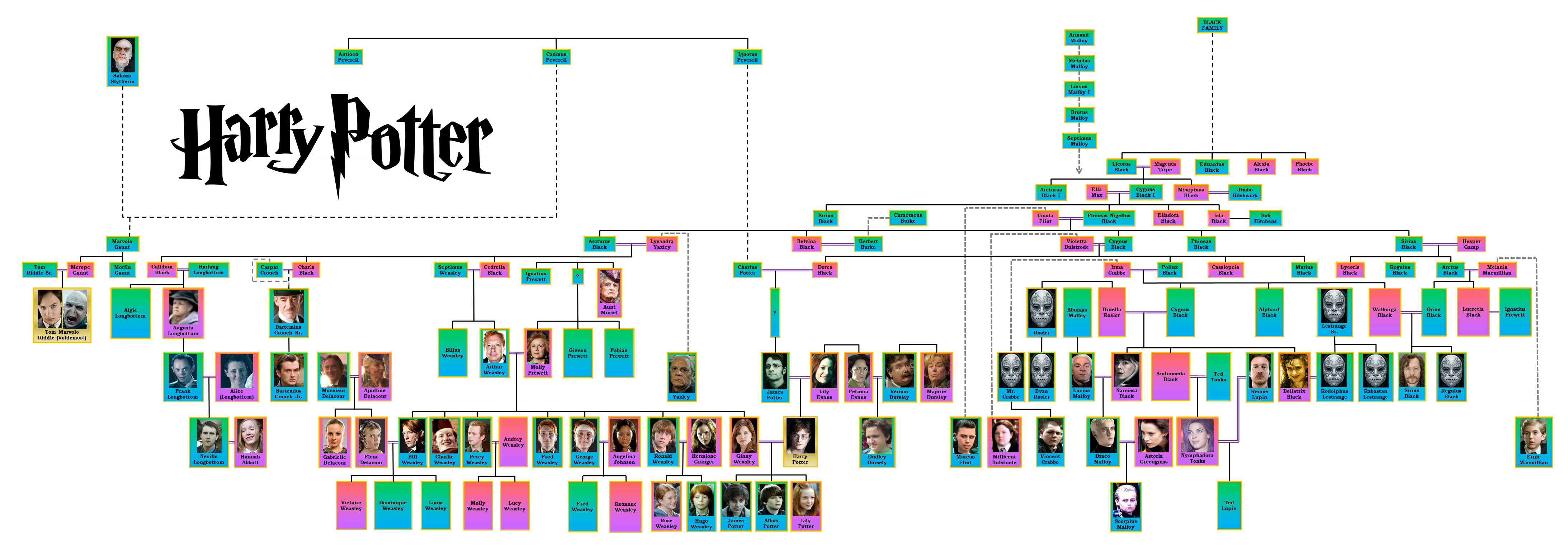 Harry Potter (+ nearly all main characters) Family Tree : harrypotter