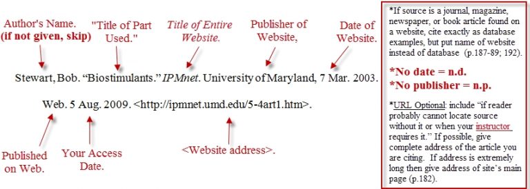 Mla Format For Websites | amulette