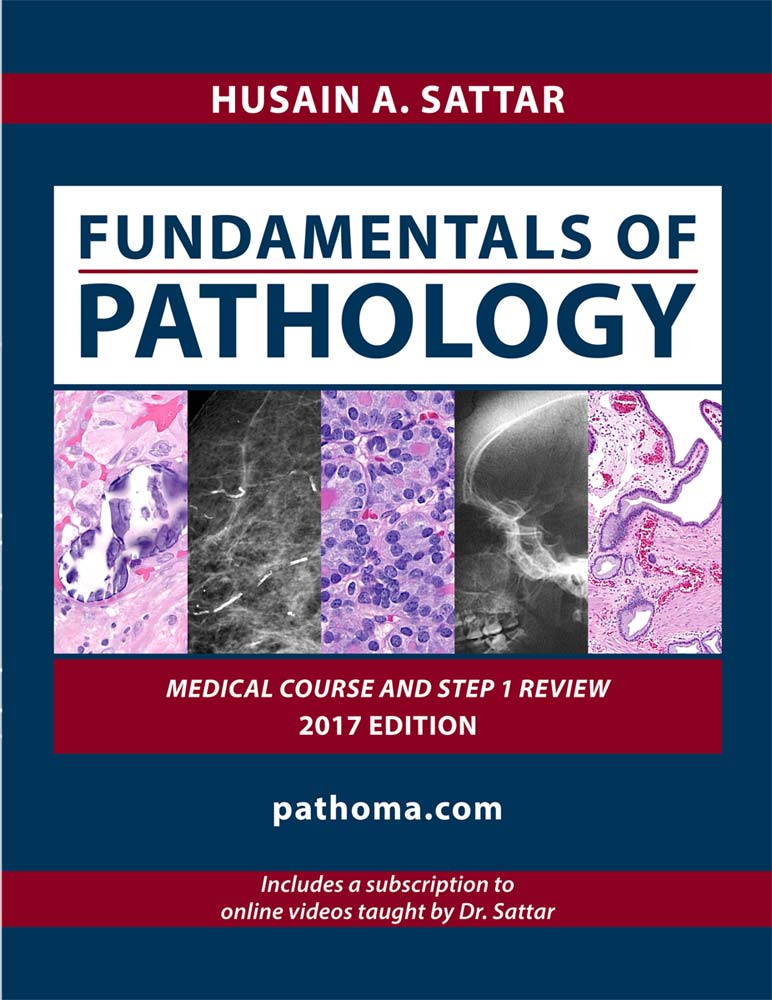 Fundamentals of Pathology Pathoma 2017 PDF Free Download