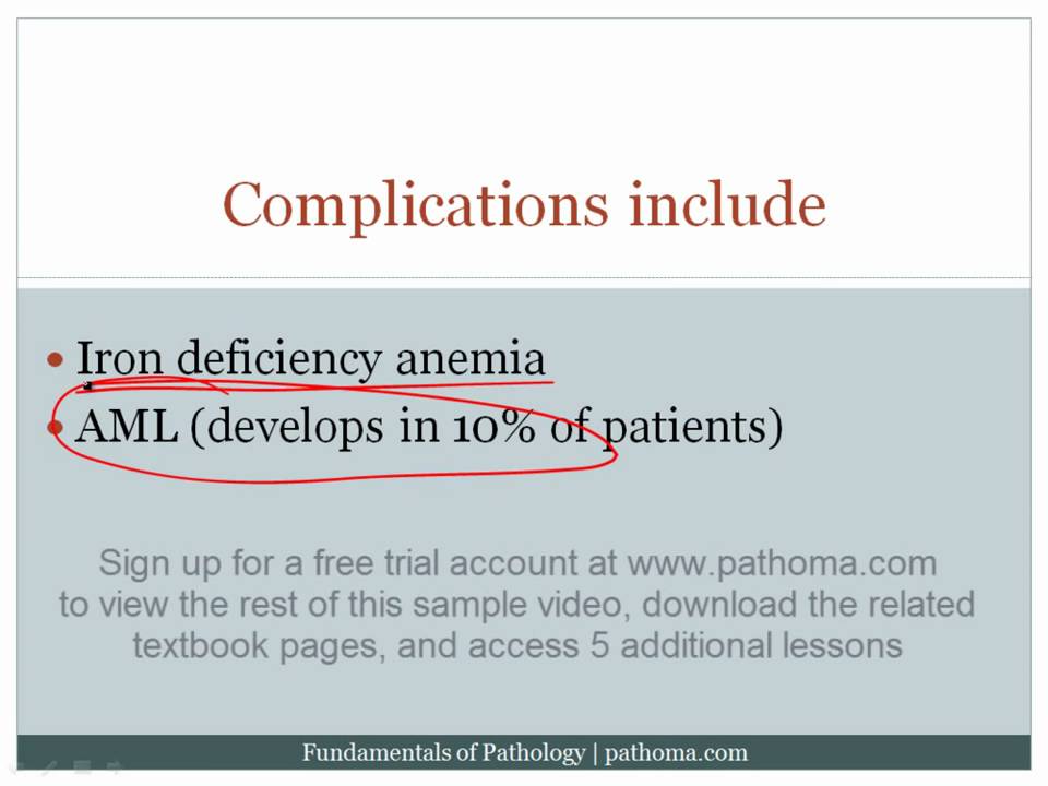 Fundamentals of Pathology: Husain A. Sattar: 9780983224600: Amazon 