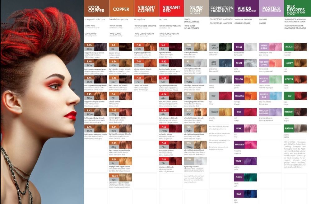 Pravana Chromasilk Color Chart amulette