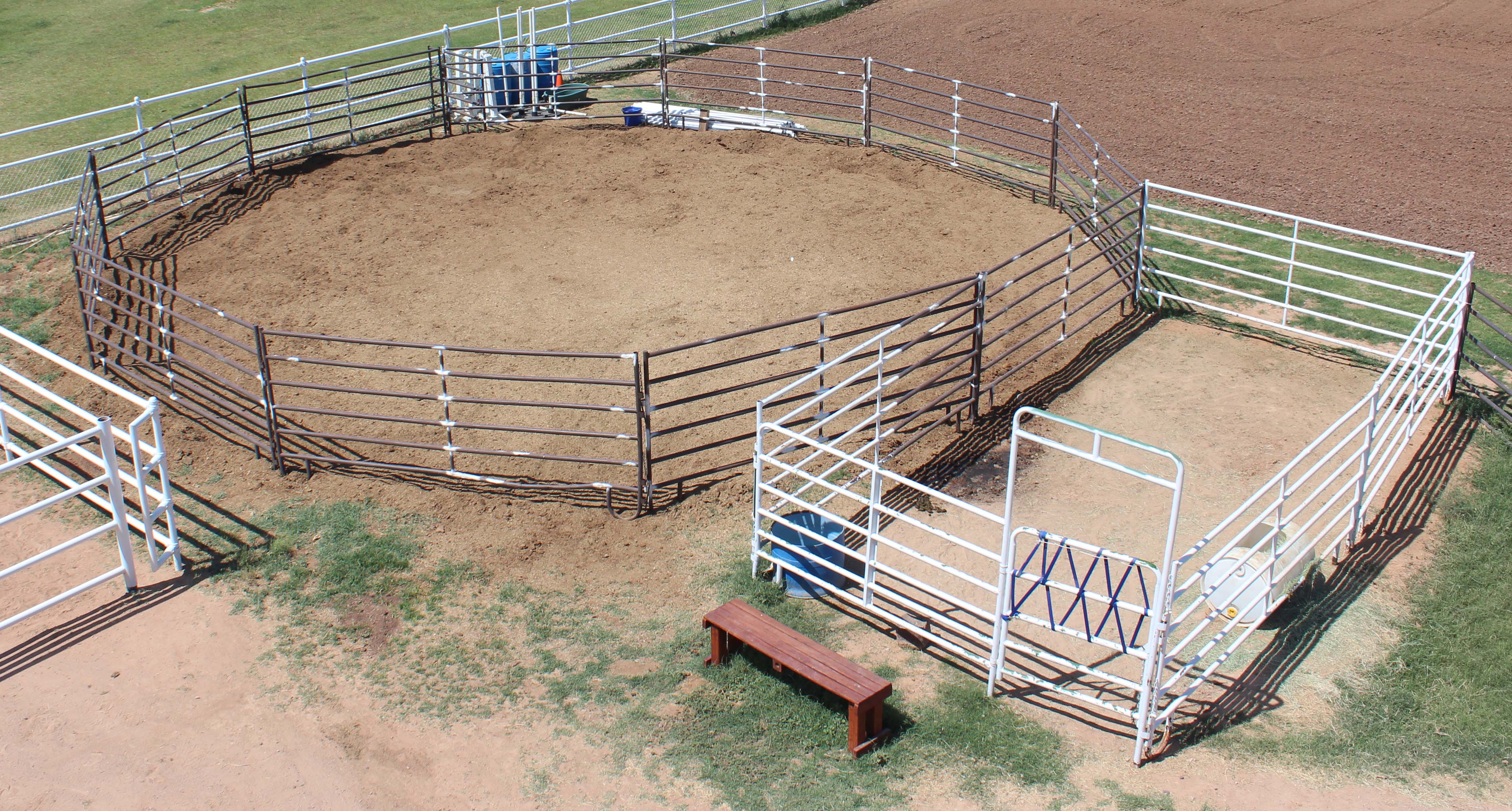 Round pen with fresh sand | Hillside Stables