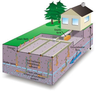 Septic Tank Pumping | A 1 Enviornmental