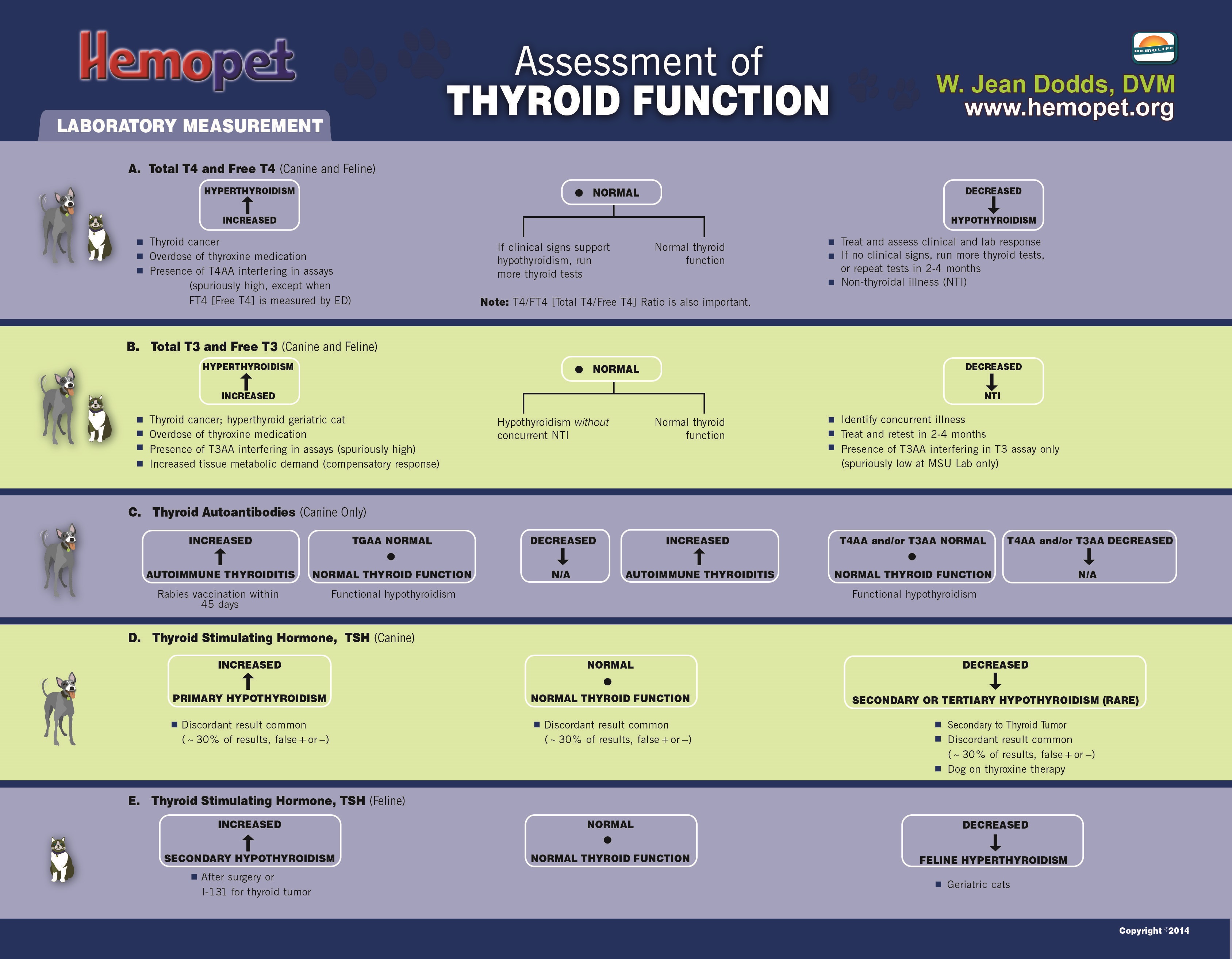 thyroid chart Koto.npand.co