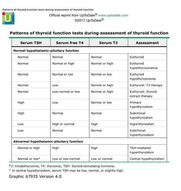 What is the normal level chart for thyroid for female? Quora