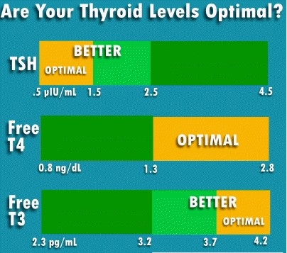 Thyroid Level Chart | amulette