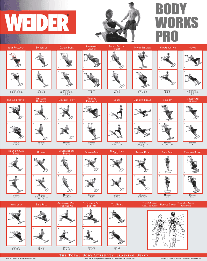 Weider Workout Chart images | excercises | Pinterest | Exercise 