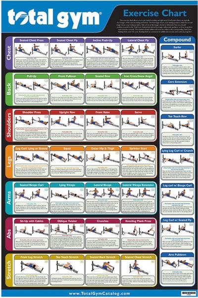 This exercise chart shows you all of the different exercises that 