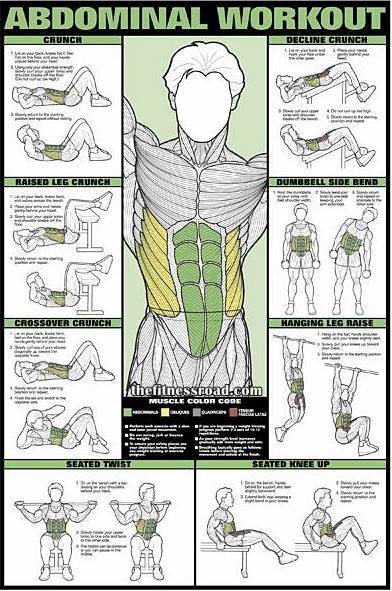Abs workout chart complete abdominal exercise chart for men 