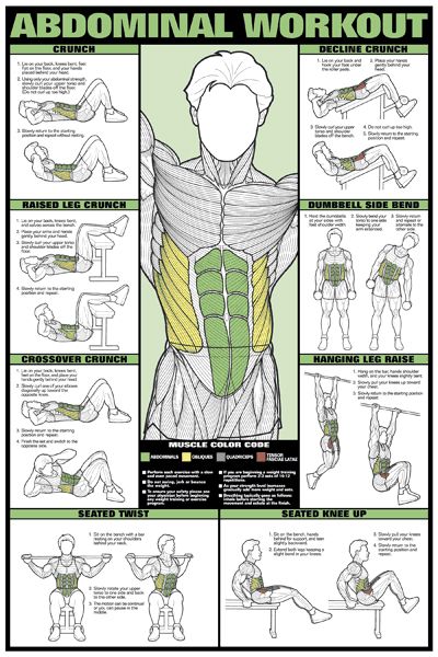 Abdominal Workout Wall Chart (Men's) Professional Fitness Poster 
