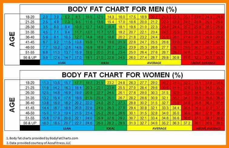 Bmi For Men Chart Amulette